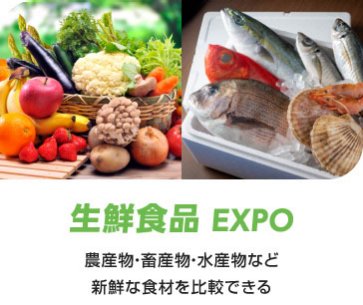 世界中の新たな食品の仕入れができる展示会｜JFEX WINTER -国際 食品