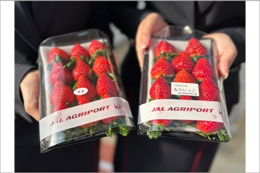 JAL Agriport株式会社